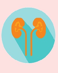 kidney_reconstuctive